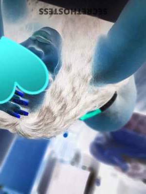 28 year old Escort in Odessa TX Paloma