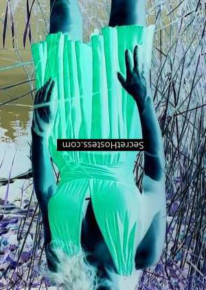 0 year old Caucasian Escort in Agency escort girl in: Vienna who are seeking an exciting and unforgettable experience. I 