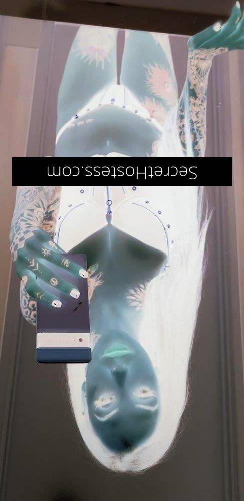 28Yrs Old Escort Size 8 Sunshine Coast Image - 1