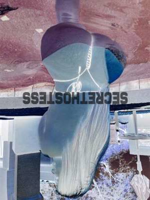 20Yrs Old Escort 72KG 132CM Tall Portland OR Image - 4