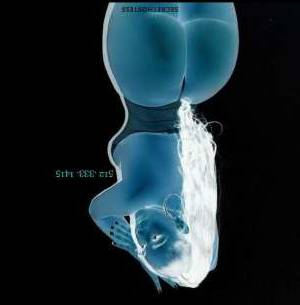 Escort Austin TX Image - 1