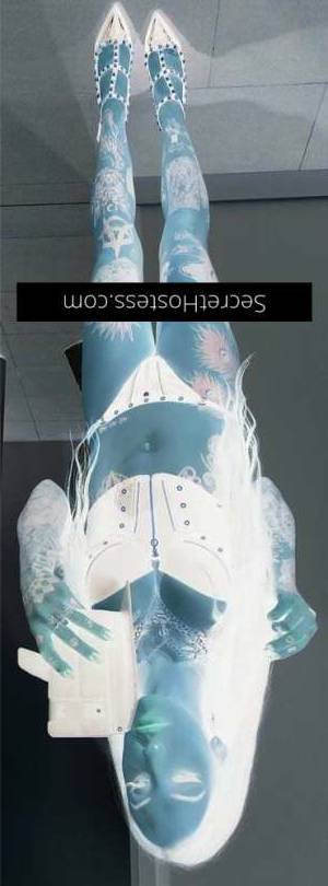 28Yrs Old Escort Size 8 Sunshine Coast Image - 3