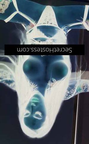 28Yrs Old Escort Size 8 Sunshine Coast Image - 4