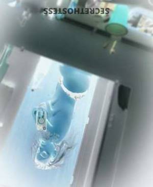 27 year old American Escort in Billings MT Escape Unleash Desires