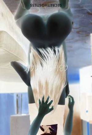 Cindy 21Yrs Old Escort Westchester FL Image - 1