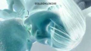 Jenny 21Yrs Old Escort Westchester FL Image - 2