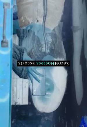 Molina 23Yrs Old Escort 47KG 158CM Tall Berlin Image - 7