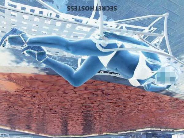 Escort Size 8 Dallas TX Image - 4