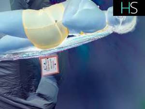 23Yrs Old Escort Oshawa Image - 2