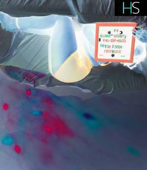 23Yrs Old Escort Oshawa Image - 3