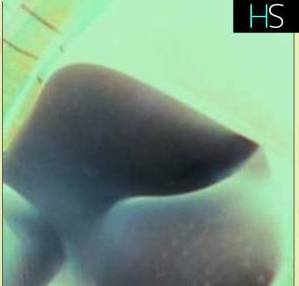 24 year old Escort in Winnipeg Quality Time With Me Carcall and Outcall Available