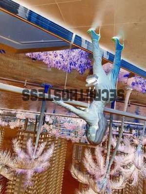 24Yrs Old Escort Naples FL Image - 2