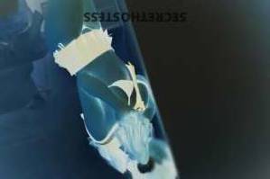 24Yrs Old Escort Brisbane Image - 1