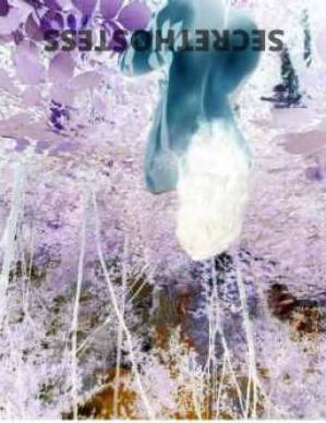 24 year old Escort in Eagle Farm Brisbane Busty Naughty Schoolgirls Duo New in Eagle Farm