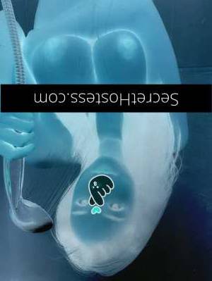 25 year old Korean Escort in Bundaberg Sexy Sirens Qld