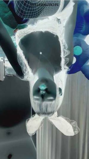 Anya 21Yrs Old Escort 50KG 168CM Tall Manila Image - 1