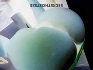 28 year old Escort in Houston TX Hot Spunk Holes Open for Truckers