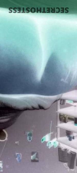 31 year old Puerto Rican Escort in Columbia SC Latina hottie