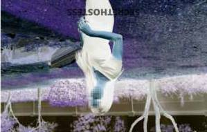 23 year old Indian Escort in Keys FL Mixed delights