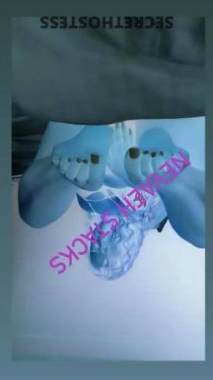 25 year old Asian Escort in San Luis Obispo CA Preferred Bowl