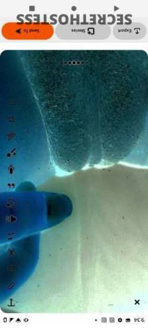 23 year old Escort in Bakersfield CA Playful tiny