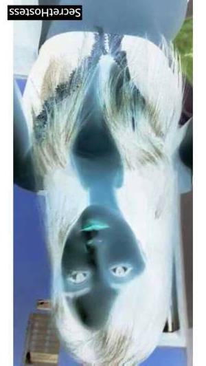 25Yrs Old Escort 50KG 163CM Tall Long Island NY Image - 4