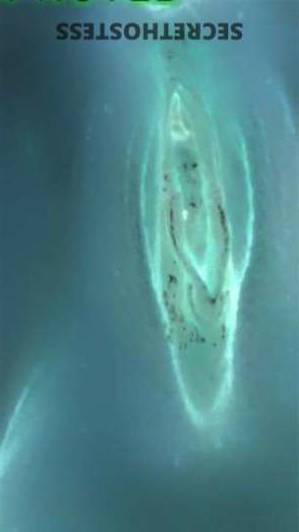 26 year old Escort in Knoxville TN Real Escort, No Deposit for No-Shows or Nonsense; no time 