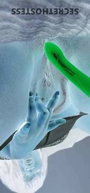 29Yrs Old Escort Clarksville TN Image - 1