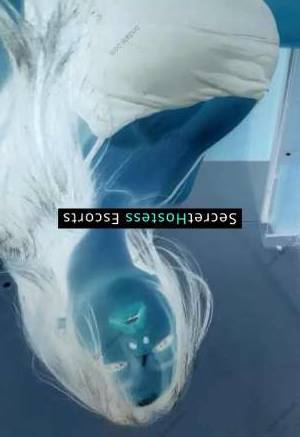 24 year old Escort in Durres Hottie Max