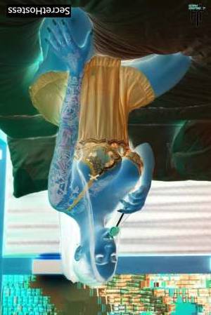 Amira 27Yrs Old Escort 60KG 167CM Tall Washington DC Image - 1