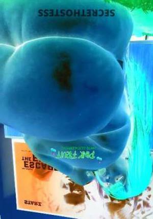 Cherry 23Yrs Old Escort South Bend IN Image - 4