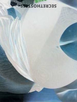 42 year old Escort in Chattanooga TN BBW pleases