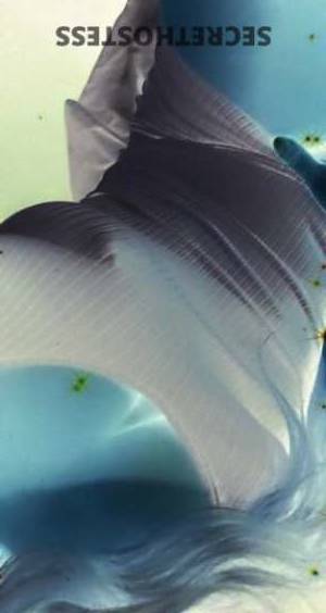 Stephanie 28Yrs Old Escort San Luis Obispo CA Image - 3