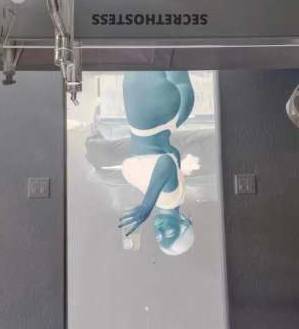 25 year old Latino Escort in Spokane WA michi stars