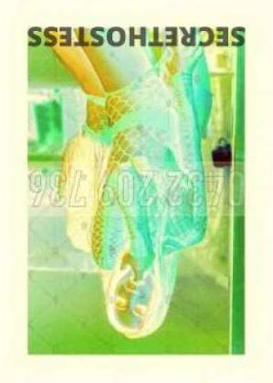 35 year old Asian Escort in Burwood Sydney Sex-Gear P.UFF Party 69