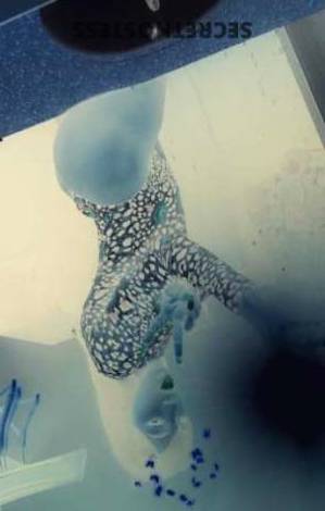 Asia 28Yrs Old Escort Myrtle Beach SC Image - 8