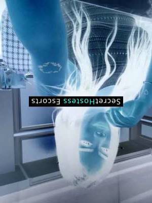 23 year old Italian Escort in Austin TX Hottie, dial my number