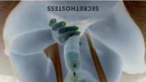 44 year old Escort in Maui HI BBW XXX Pornstar Hawaii Throat Goddess