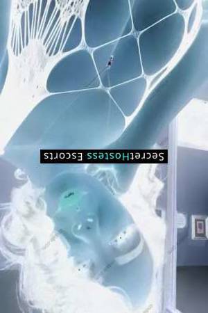 Chloe Escort 165CM Tall Philadelphia PA Image - 5