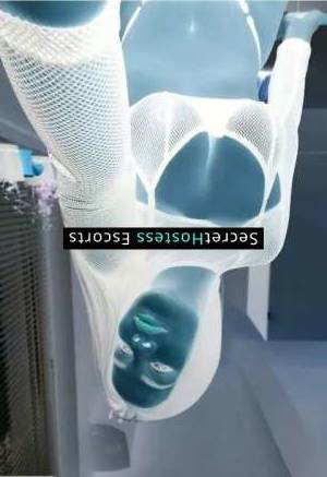 23 year old Venezuelan Escort in Warsaw Ultimate Companion Your Dreams Fulfilled