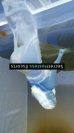 Qing 24Yrs Old Escort 54KG 158CM Tall Riyadh Image - 2