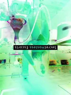 25 year old Escort in Tampa FL New in town, flirty and fun your open-minded companion 