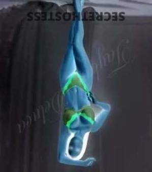 27 year old Australian Escort in Homebush Sydney Incalls Homebush