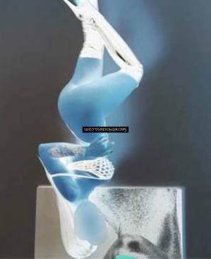 26Yrs Old Latin Escort Black Hair Brown Eyes C Cup Size 10  in Plymouth