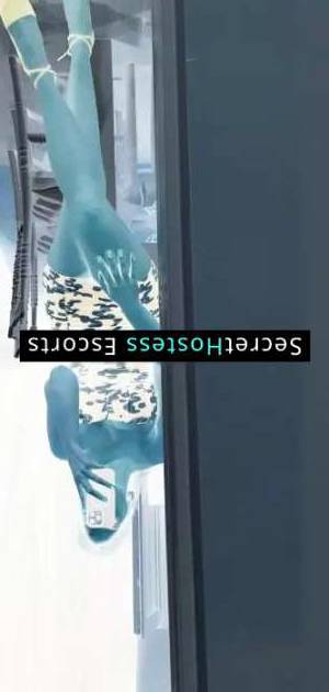 29 year old Turkish Escort in Ankara platonic only