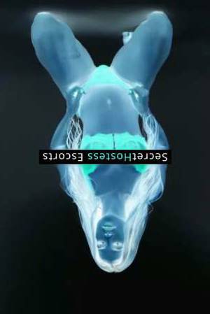 Daniela 25Yrs Old Escort 60KG 165CM Tall Dubrovnik Image - 1