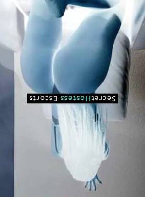 Disponible bb 26Yrs Old Escort Naperville IL Image - 2