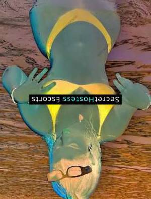 I am available 24/7 22Yrs Old Escort 57KG 162CM Tall Raleigh NC Image - 2