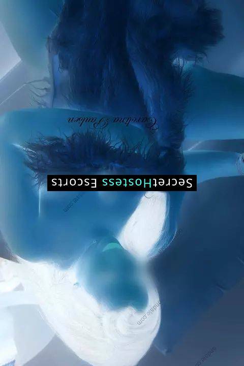 Carolina Paulsen Escort Stamford CT Image - 0