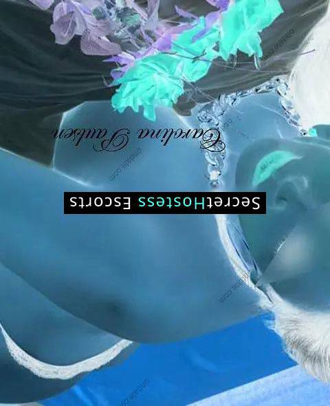 Carolina Paulsen Escort Stamford CT Image - 2
